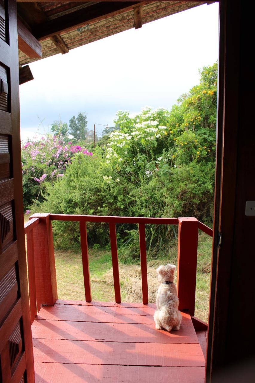 Hotel Las Fresas Del Volcan Poas Sabana Redonda ภายนอก รูปภาพ